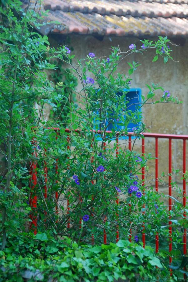 Les Volets Bleus Provence Villa Salon-de-Provence Exterior photo